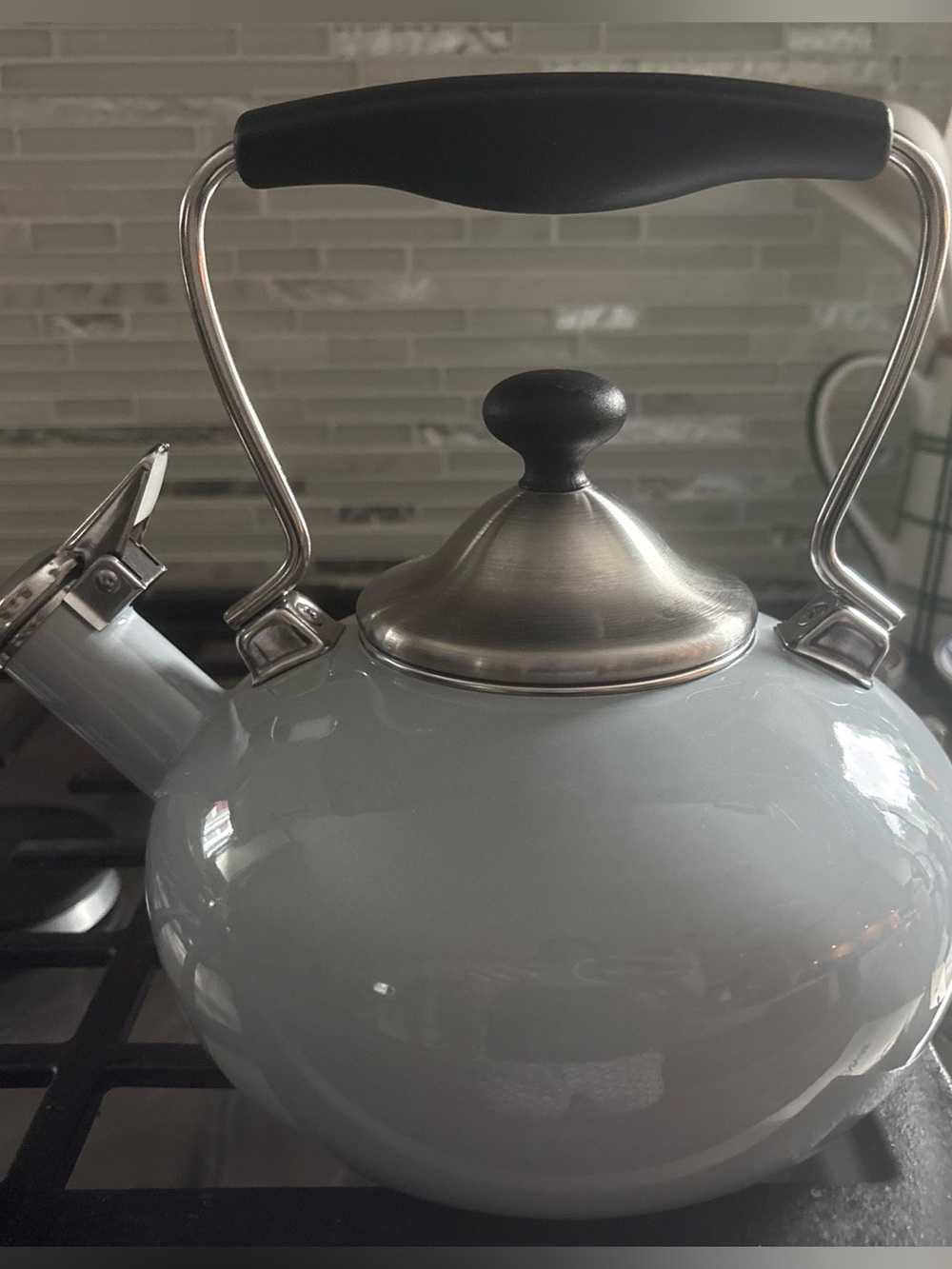 Chantal Enamel on Steel Whistling Tea Kettle - Glossy Light Gray